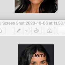 They look the literally look the same(Demi Moore and Heidi D&#039;Amelio)