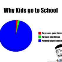Why kids go to school