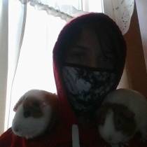 lol they wont stop fighting so i put them on my shoulders and they hate it 