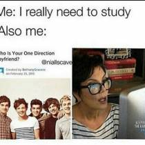 More 1D memes