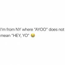 This whatchu shneeds to know abt NY 