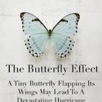 ButteryFly Effect