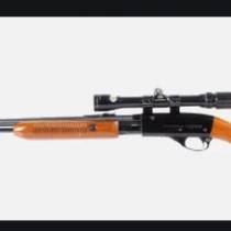 have any yaw seen a pump action 22 long rifle before?