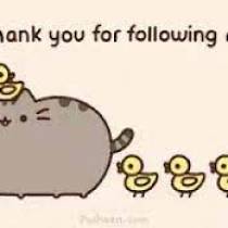 Thank you following me !!!