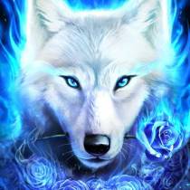 white wolf queen band