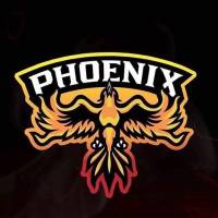 Evolved_Phoenix