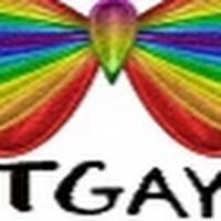 T gay