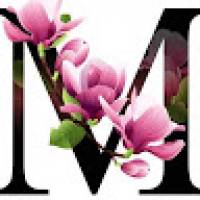 Hammad Ali