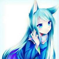 yc191501 yc191501