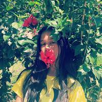 mayflor Lumacad