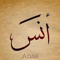 Anas Elk