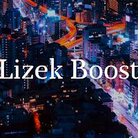 Lizek Boost