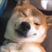Золбоо О'