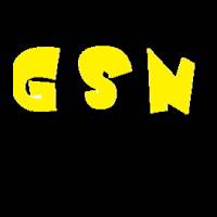 gulshan1100123
