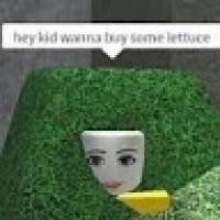 Ivy Bi