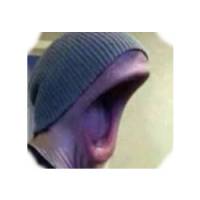 rilsodapop.gaming