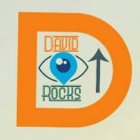 David Rocks