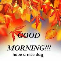 Ratnesh Yadav