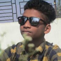 vinay borkar