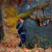 Bizan Shrestha