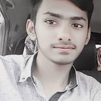 Ali hamza Malik