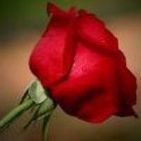 Satish Bhore