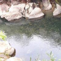 Mithusella Momin