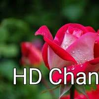 Hd24 channel