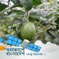 Satish Chandra Roy