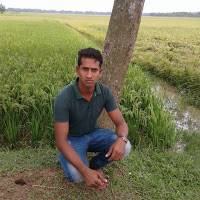 Ala Uddin LITON