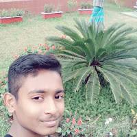 Mehadi Hasan