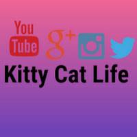 Kitty Cat Life