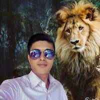 All Bangla