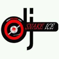 Dj Snake ice haiti