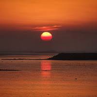 The Sun Of Night Night