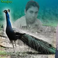 sanjay das