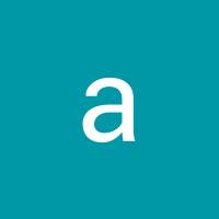 anold mp