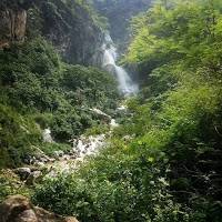 Aashish Shrestha