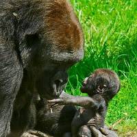 Great Thinkers