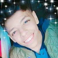 MIDO FOX