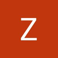 Zany De Artist