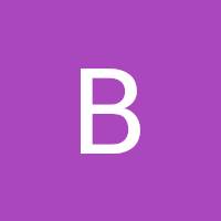 Bonga Debeer