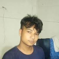 joydeb ray