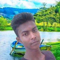 Krishna Roy