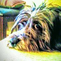 Lilly Acually Videos
