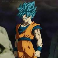 lord beerus world