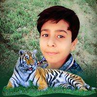 Faizan Ch