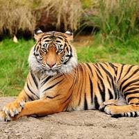 nature knowledge channel bhadhur