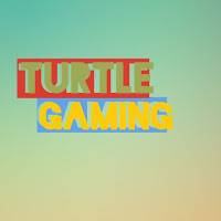 Turtle Gaming