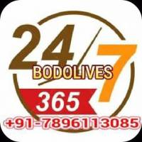 BodoLives